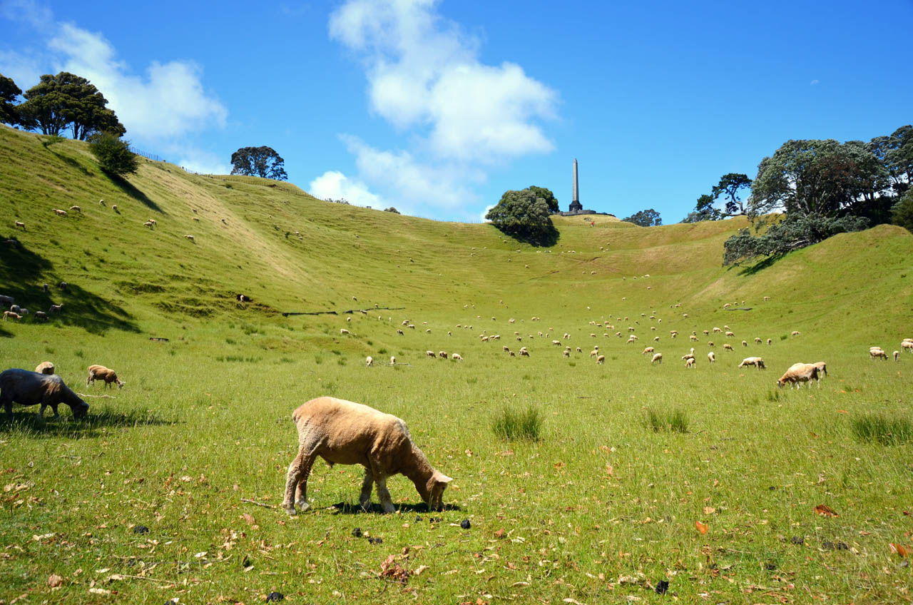 DSC_0778 one tree hill