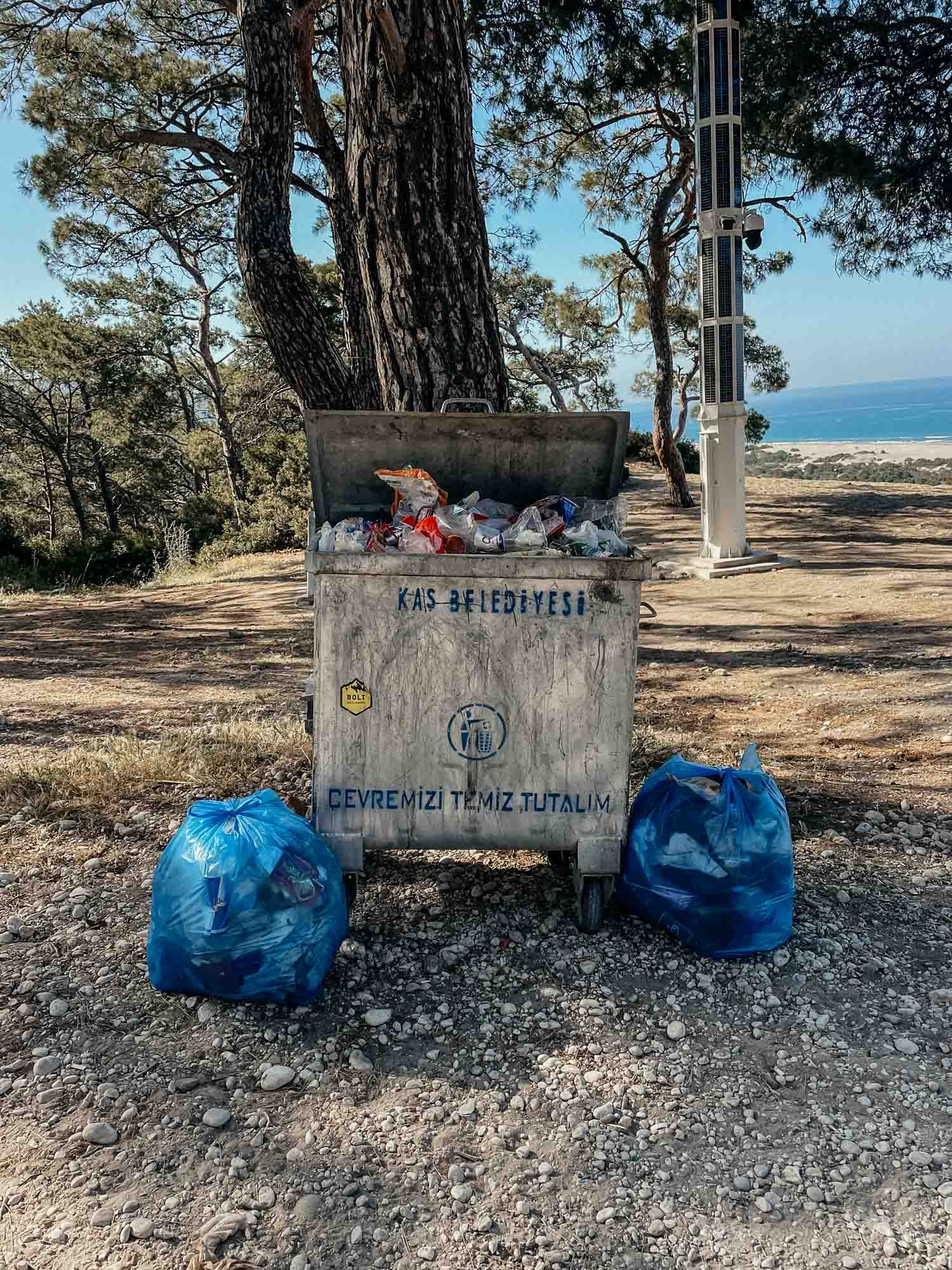 202505210652_IMG_5858