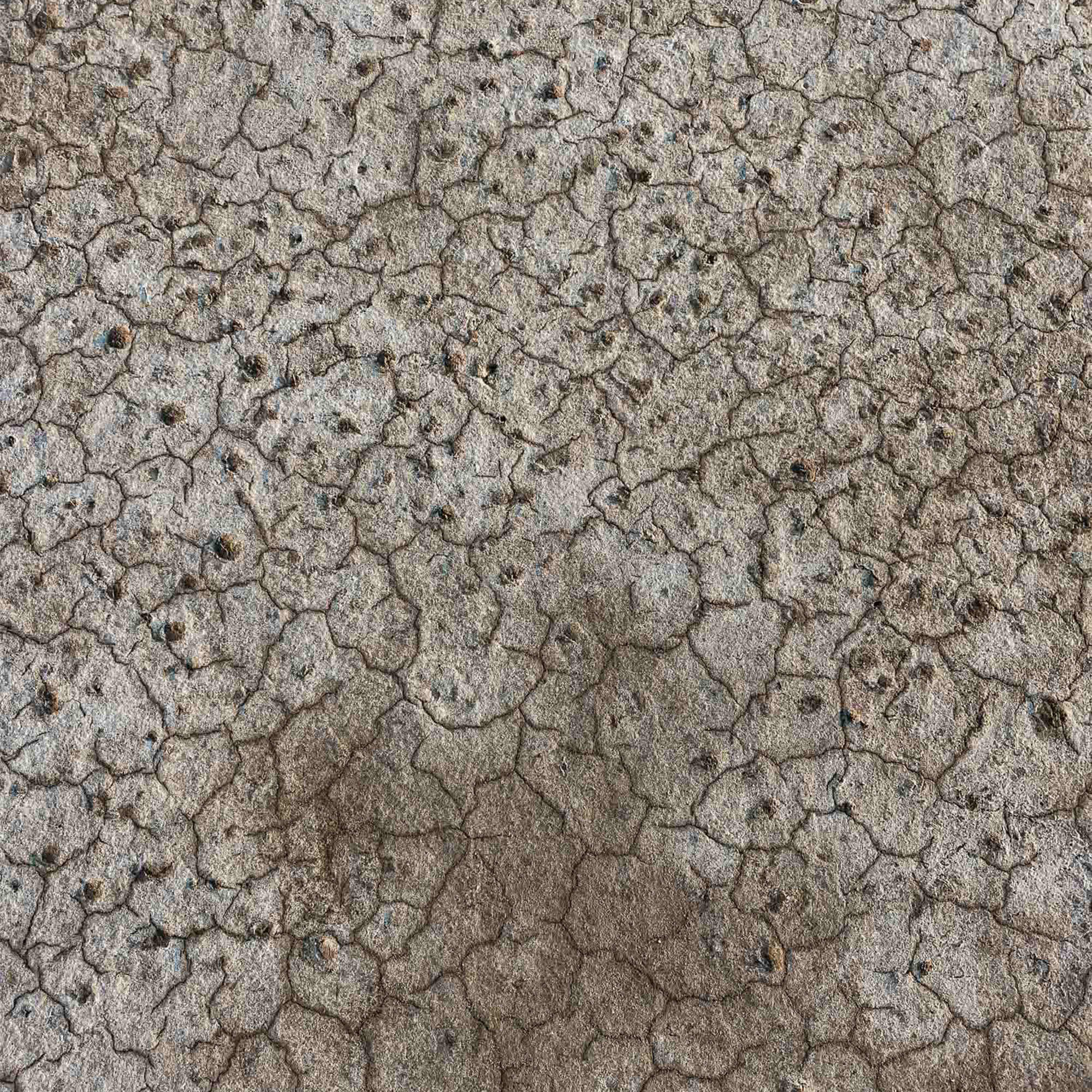 202506090402_IMG_9880_Web