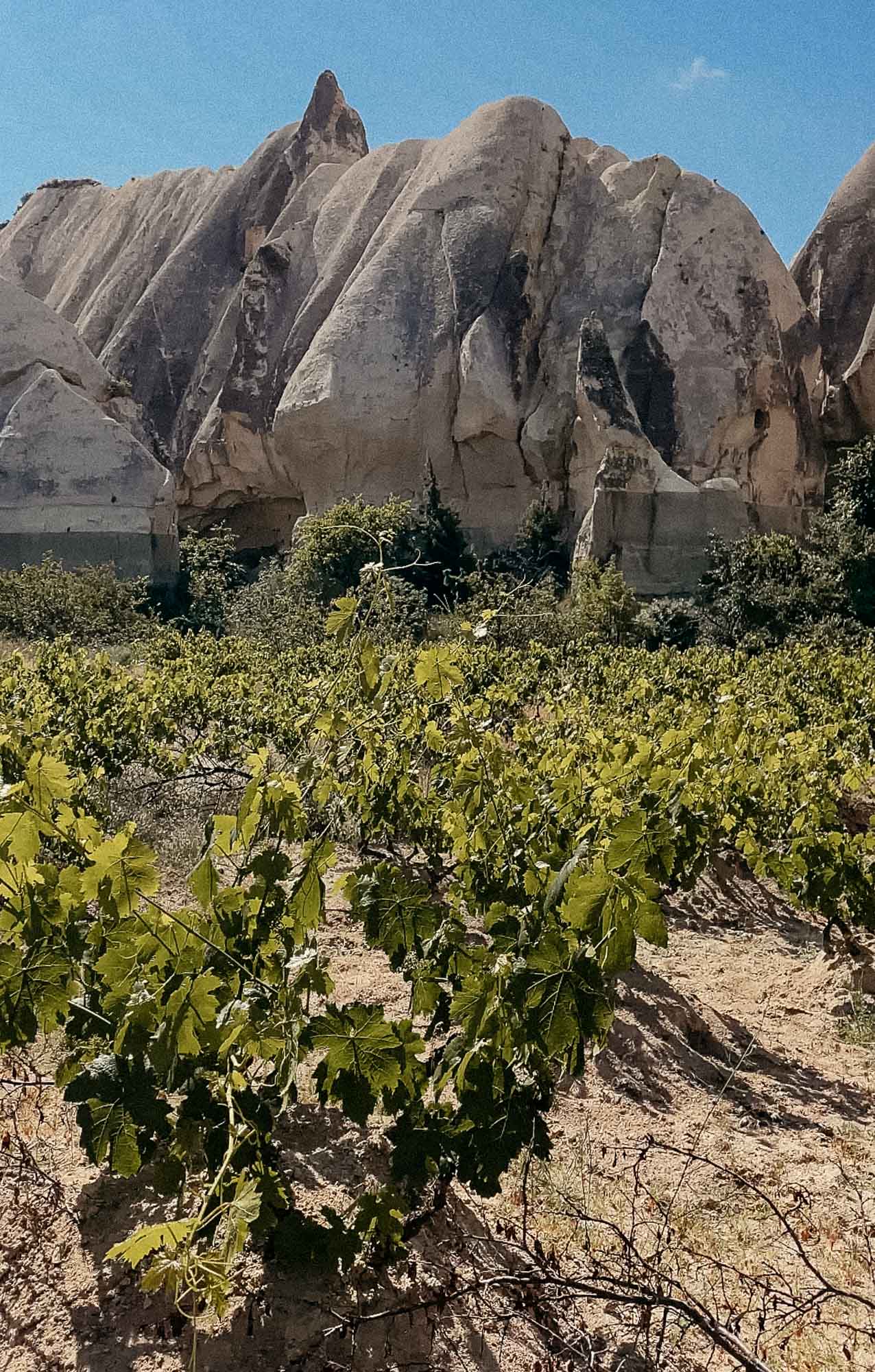 Bildschirmfoto 2025-10-08 um 16.59.32